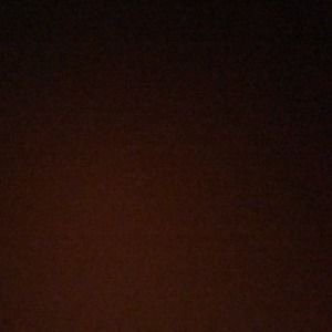 Meet your Posher, Annie